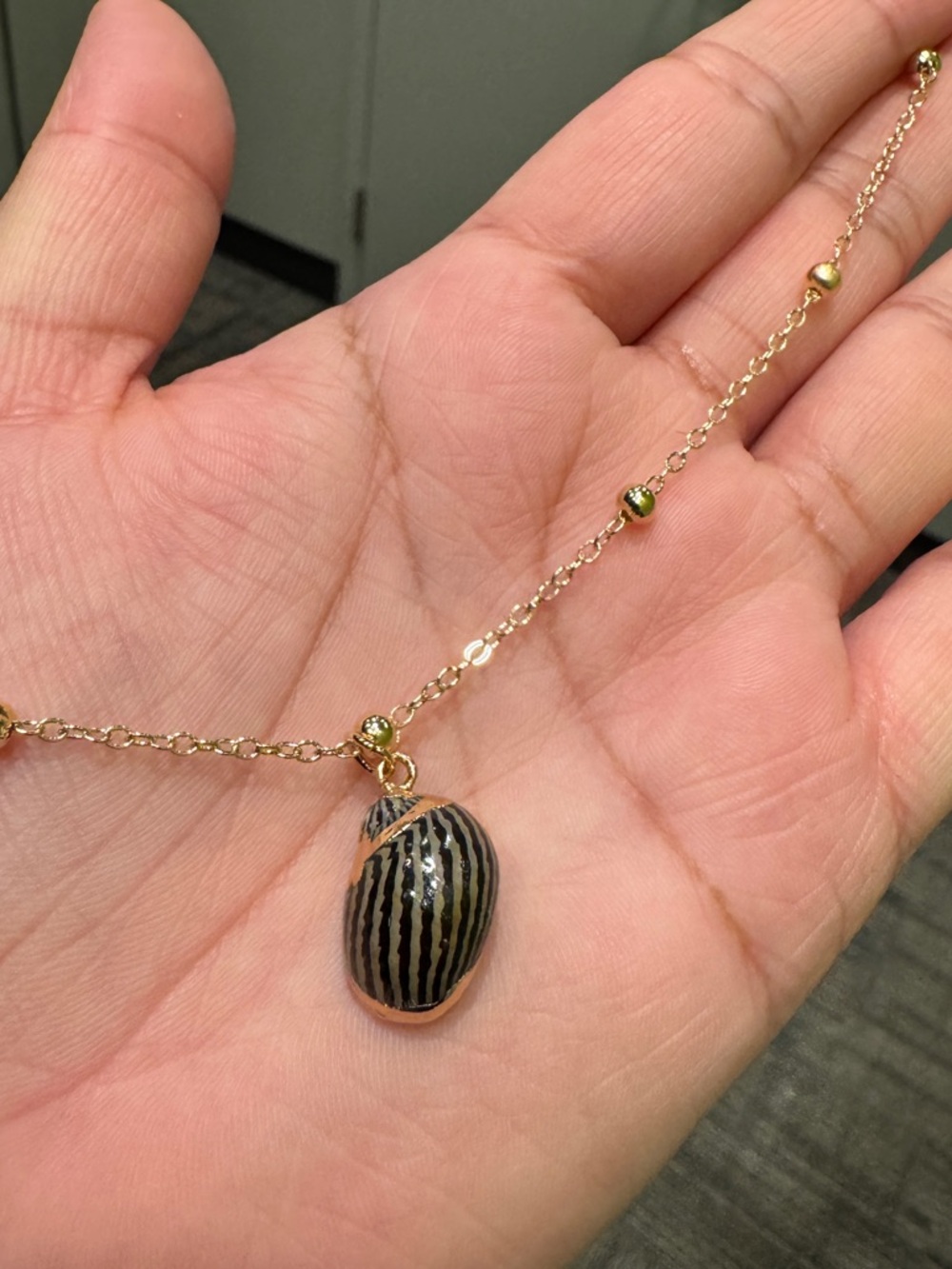 Natural Zebra Nerite seashell Pendant Necklace